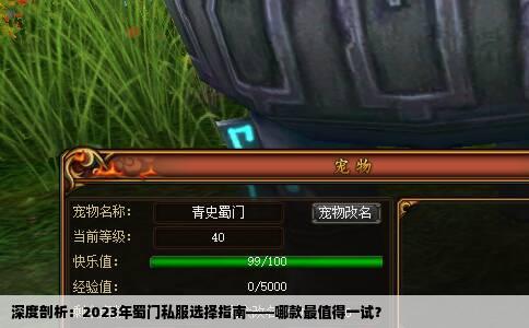 深度剖析：2023年蜀门私服选择指南——哪款最值得一试？