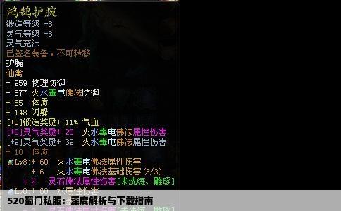 520蜀门私服：深度解析与下载指南