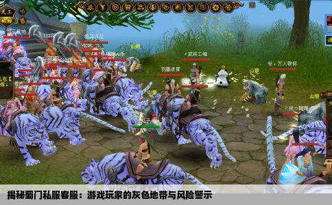 揭秘蜀门私服客服：游戏玩家的灰色地带与风险警示